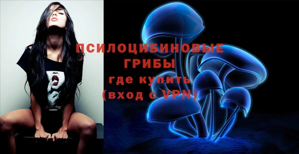 герыч Алексин