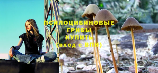ECSTASY Алексеевка