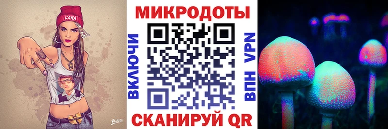цена   Ржев  Псилоцибиновые грибы GOLDEN TEACHER 