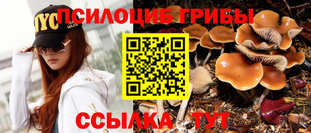 Галлюциногенные грибы мицелий Ржев