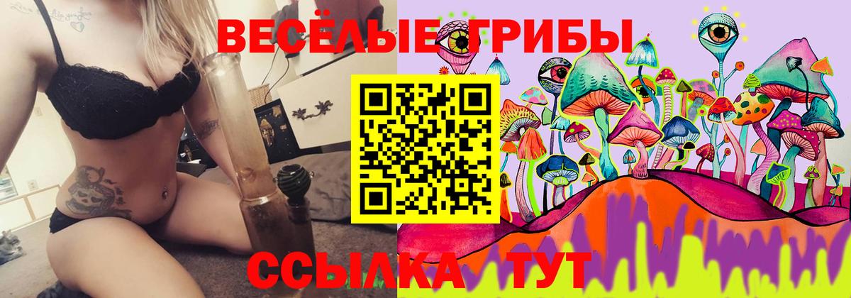 Псилоцибиновые грибы ЛСД  Псилоцибиновые грибы ЛСД  Ржев  Вход с VPN 